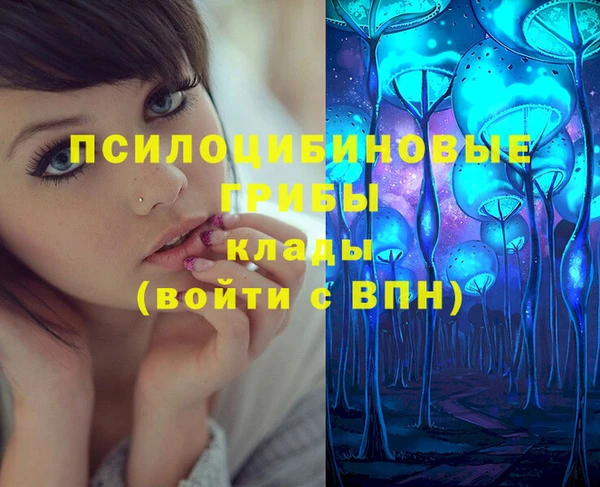 спиды Абинск