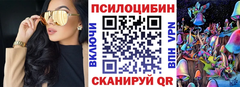 купить закладку Нерчинск Галлюциногенные грибы мухоморы